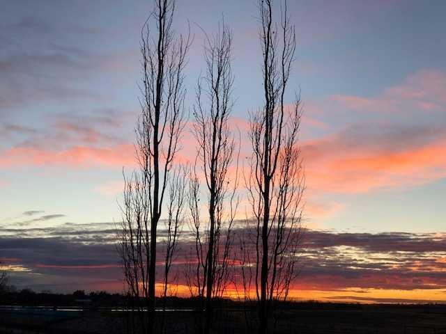 392 Rainbow Falls Way, Chestermere, AB - Outdoor With View