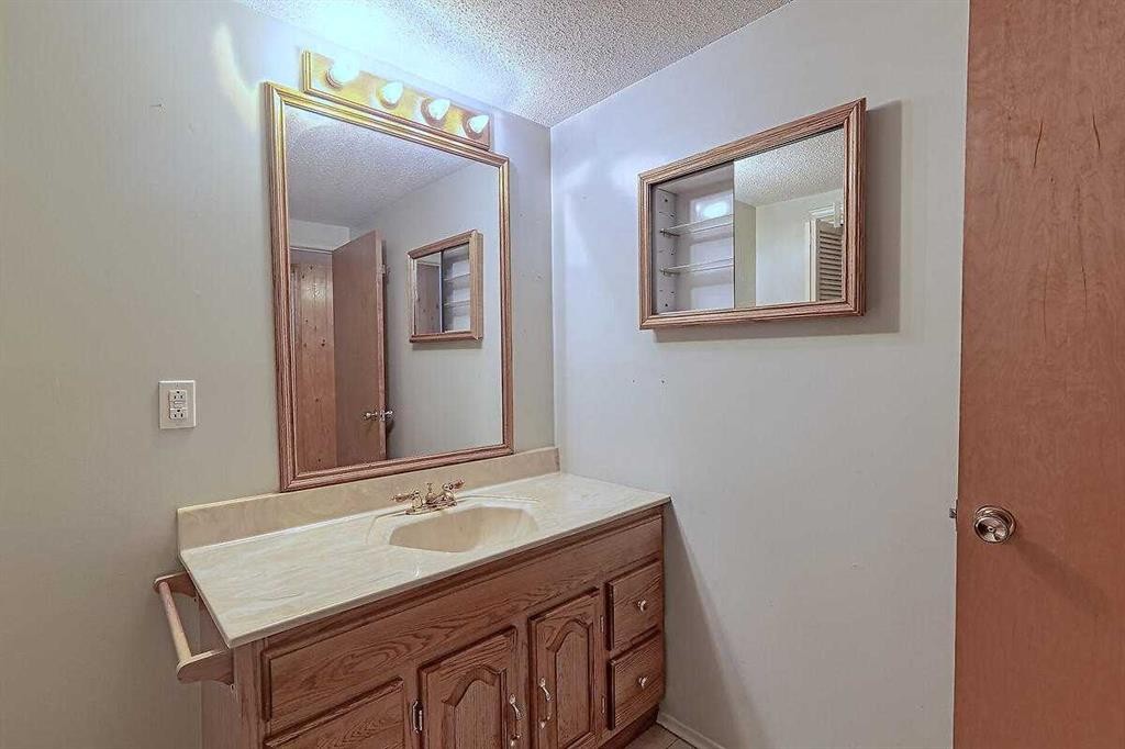 444 Woodland Crescent Se, Calgary, AB - Indoor Photo Showing Bathroom