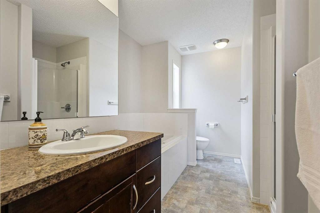41 Silverado Saddle Avenue Sw, Calgary, AB - Indoor Photo Showing Bathroom