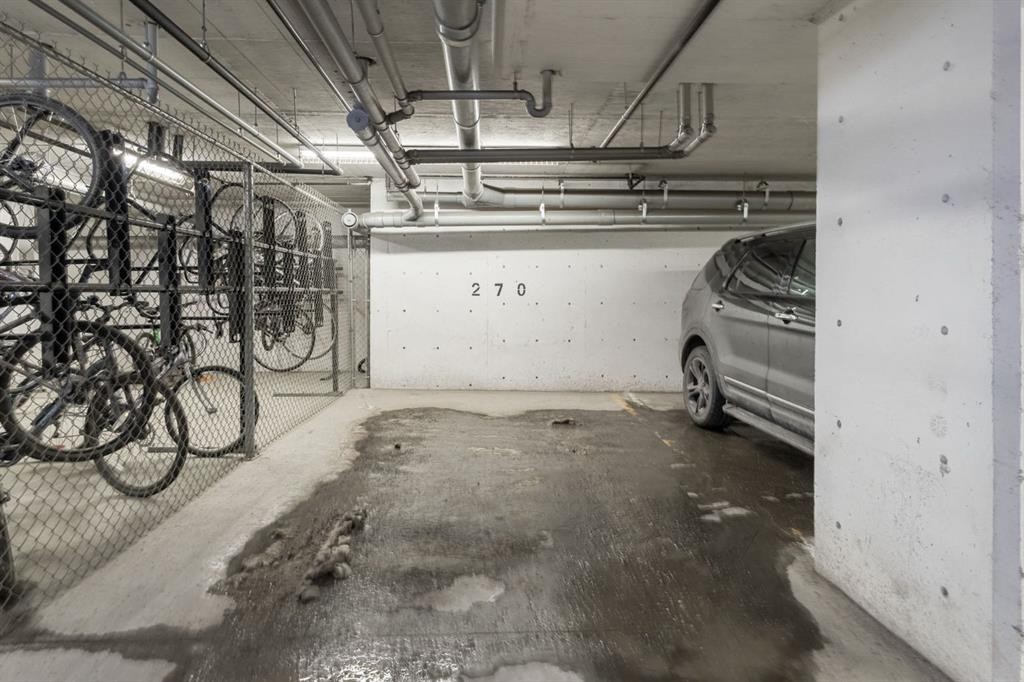 1237-81 Legacy Boulevard Se, Calgary, AB - Indoor Photo Showing Garage