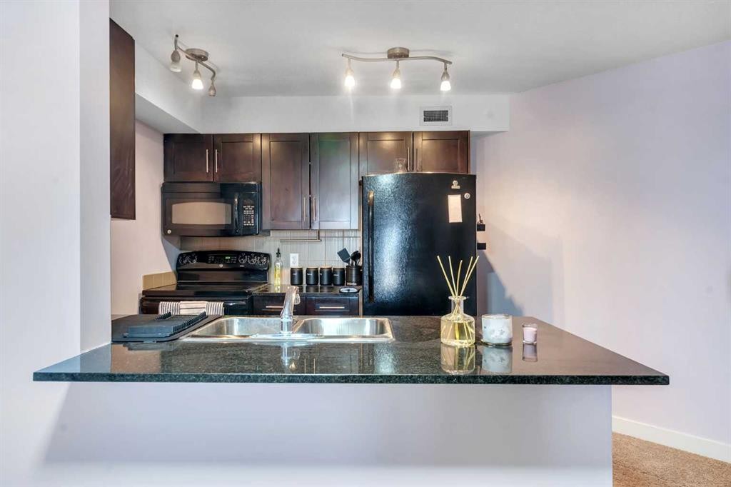 318-7210 80 Avenue Ne, Calgary, AB - Indoor Photo Showing Kitchen With Double Sink