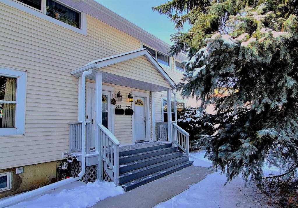 525 32 Avenue Ne, Calgary, AB - Outdoor