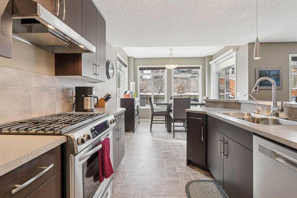 117 Silverado Saddle Heights Sw, Calgary, AB - Indoor Photo Showing Kitchen With Double Sink