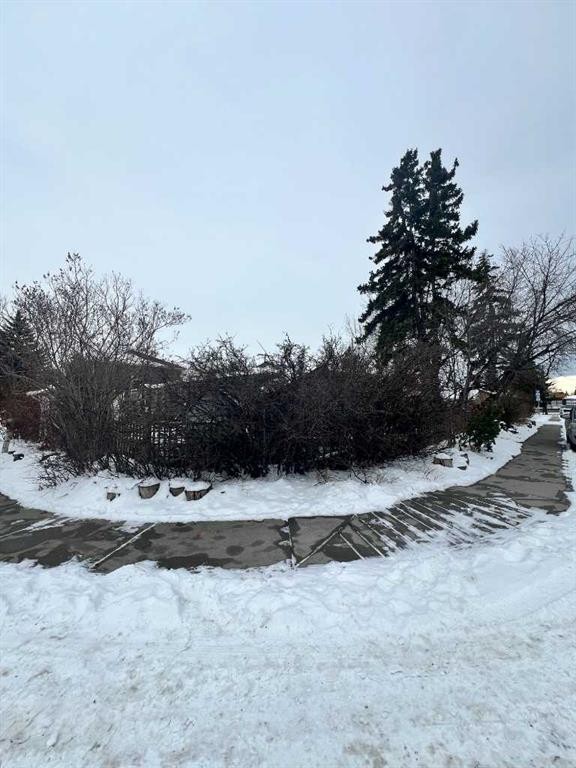 29 Windermere Road Sw, Calgary, AB - Outdoor With View