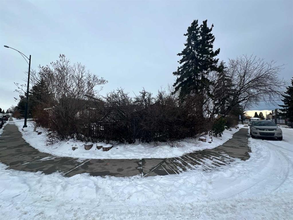 29 Windermere Road Sw, Calgary, AB - Outdoor