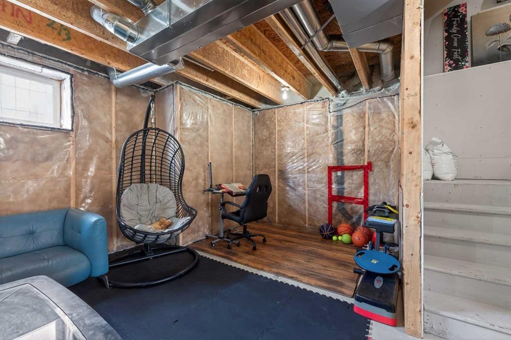 56 Skyview Point Crescent Ne, Calgary, AB - Indoor Photo Showing Basement