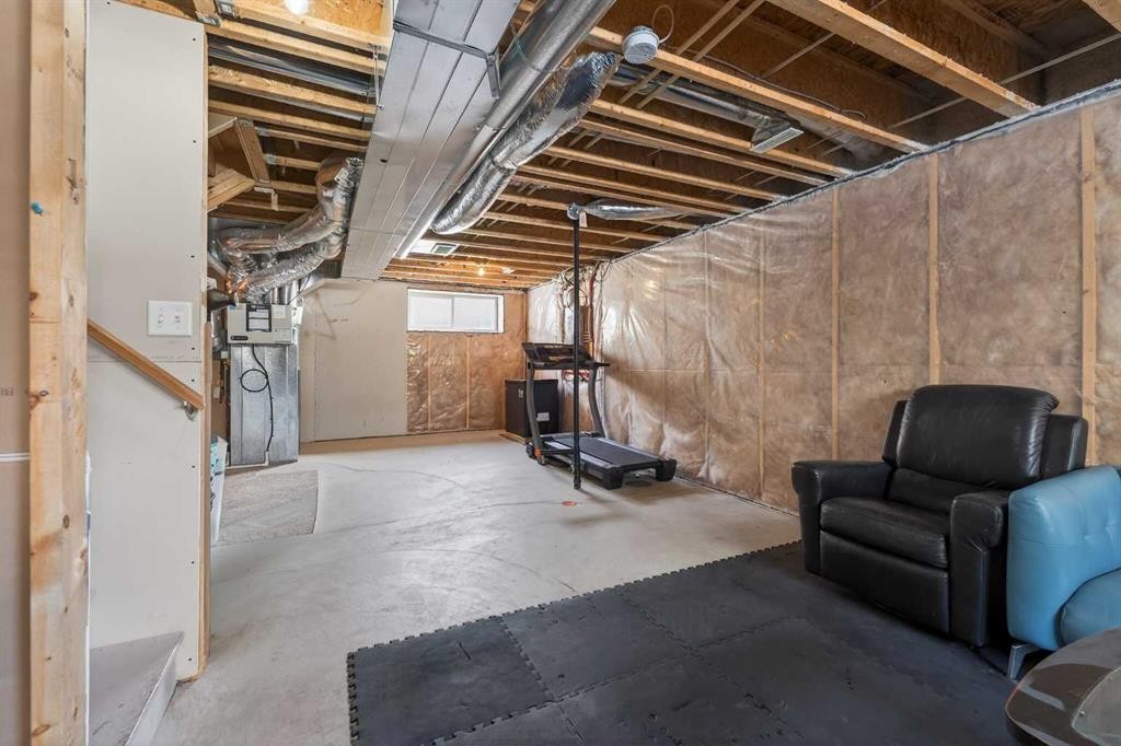 56 Skyview Point Crescent Ne, Calgary, AB - Indoor Photo Showing Basement