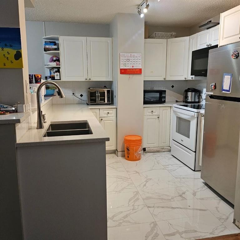 203-511 56 Avenue Sw, Calgary, AB - Indoor Photo Showing Kitchen With Double Sink