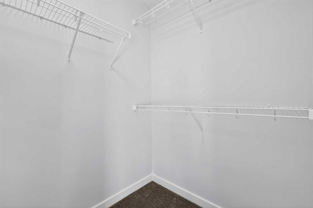 1007-132 Red Embers Link Ne, Calgary, AB - Indoor With Storage