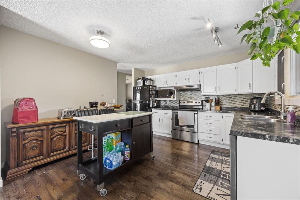 2302 Olympia Drive Se, Calgary, AB - Indoor Photo Showing Kitchen With Double Sink