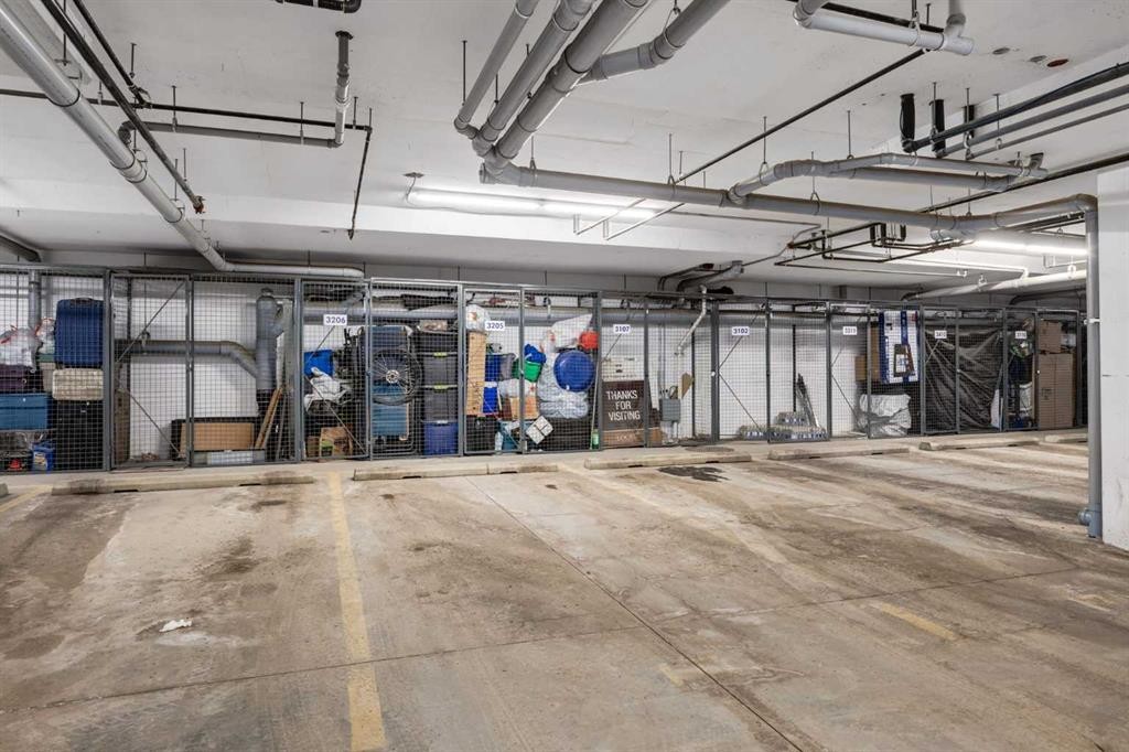 3205-200 Seton Circle Se, Calgary, AB - Indoor Photo Showing Garage