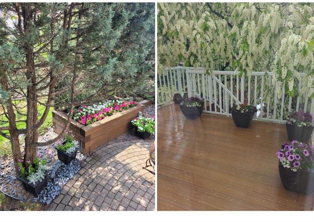 677 Hawkwood Boulevard Nw, Calgary, AB - Outdoor With Deck Patio Veranda
