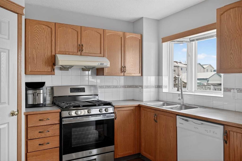 317 Martindale Drive Ne, Calgary, AB - Indoor Photo Showing Kitchen With Double Sink