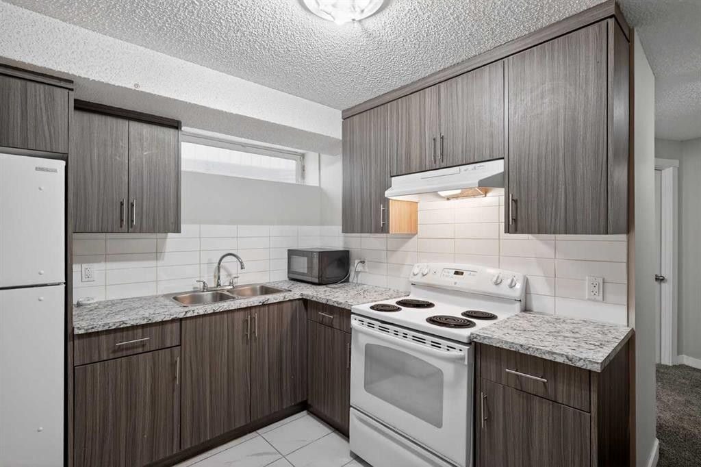 317 Martindale Drive Ne, Calgary, AB - Indoor Photo Showing Kitchen With Double Sink