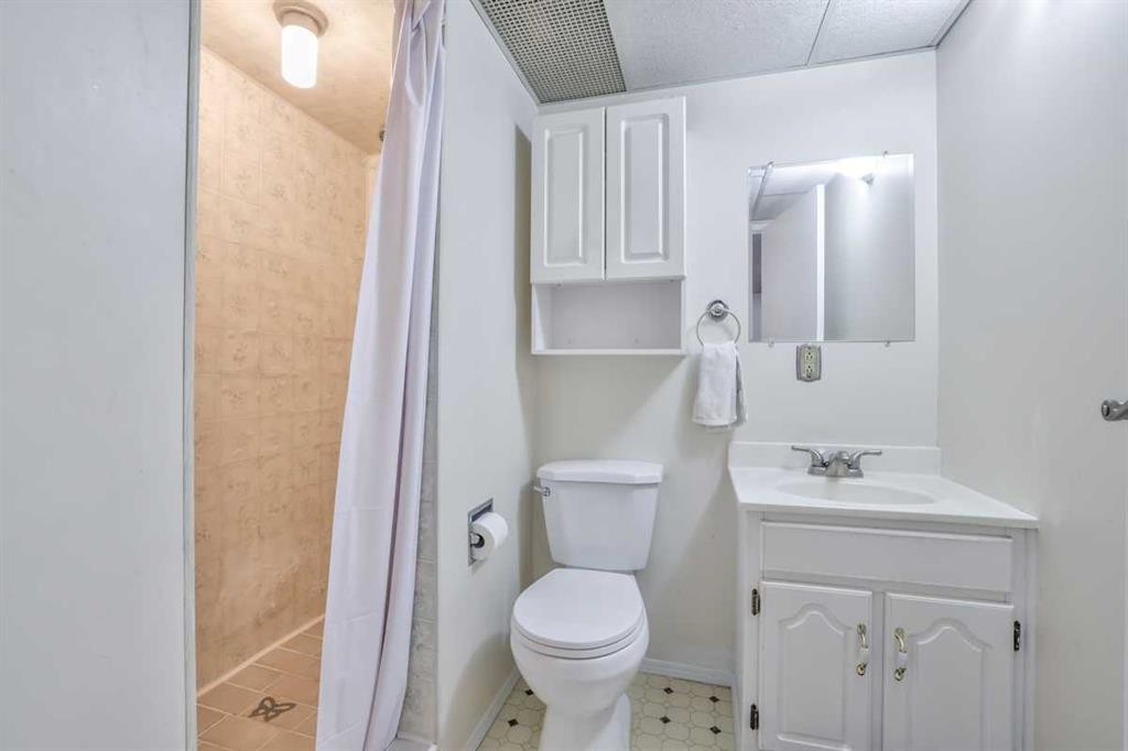 232 Templeside Circle Ne, Calgary, AB - Indoor Photo Showing Bathroom