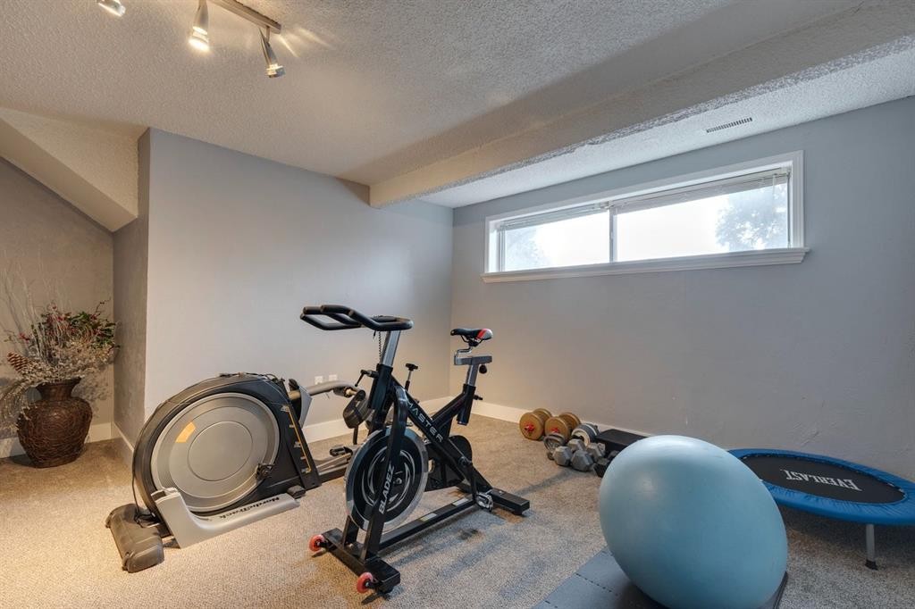 299 Doverview Crescent Se, Calgary, AB - Indoor Photo Showing Gym Room