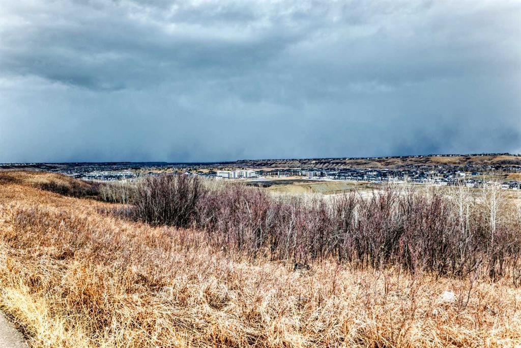 64 Walcrest View Se, Calgary, AB - Outdoor With View