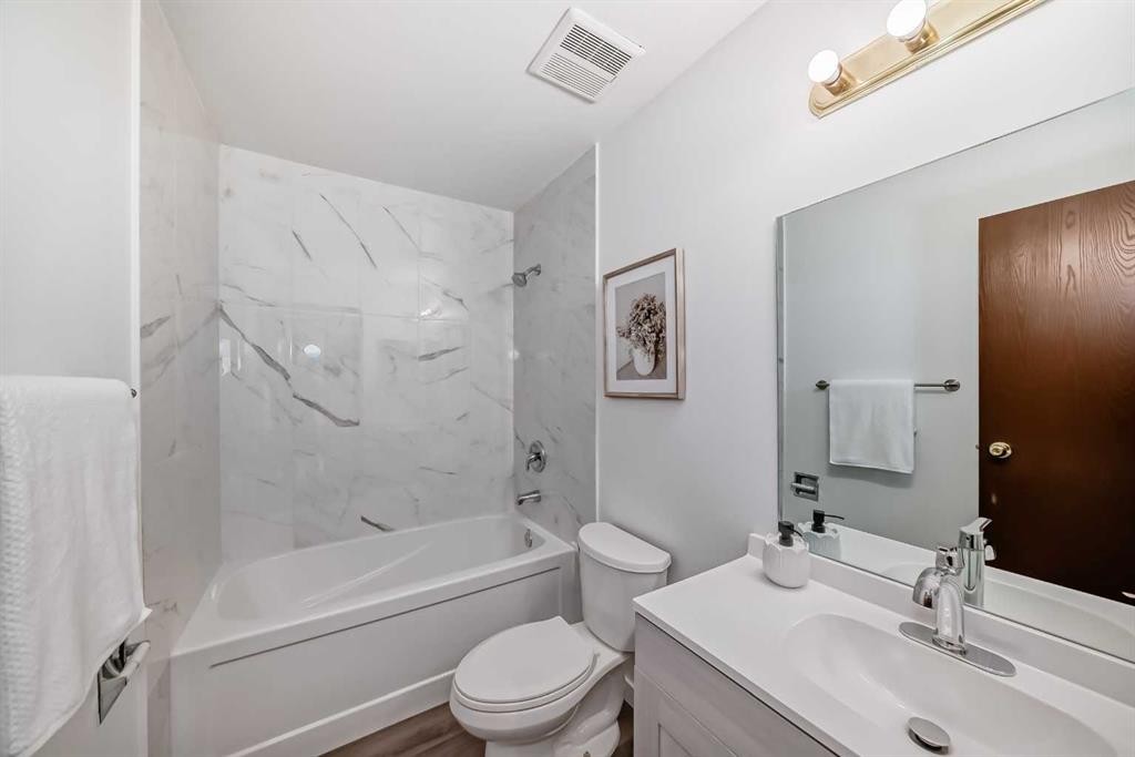 6735 Temple Drive Ne, Calgary, AB - Indoor Photo Showing Bathroom