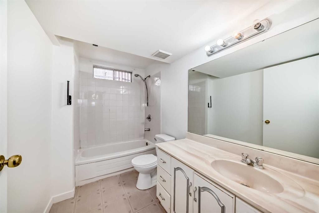 6735 Temple Drive Ne, Calgary, AB - Indoor Photo Showing Bathroom