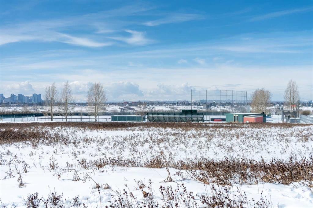 8 Van Horne Crescent Ne, Calgary, AB - Outdoor With View