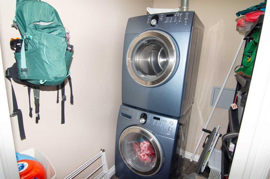 208-10 Hemlock Crescent Sw, Calgary, AB - Indoor Photo Showing Laundry Room