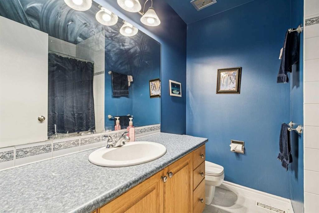 443 Brookmere Crescent Sw, Calgary, AB - Indoor Photo Showing Bathroom