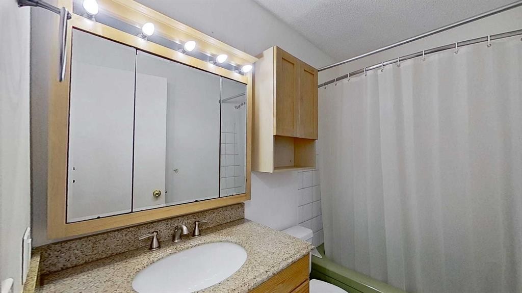 315 Pinecrest Crescent Ne, Calgary, AB - Indoor Photo Showing Bathroom
