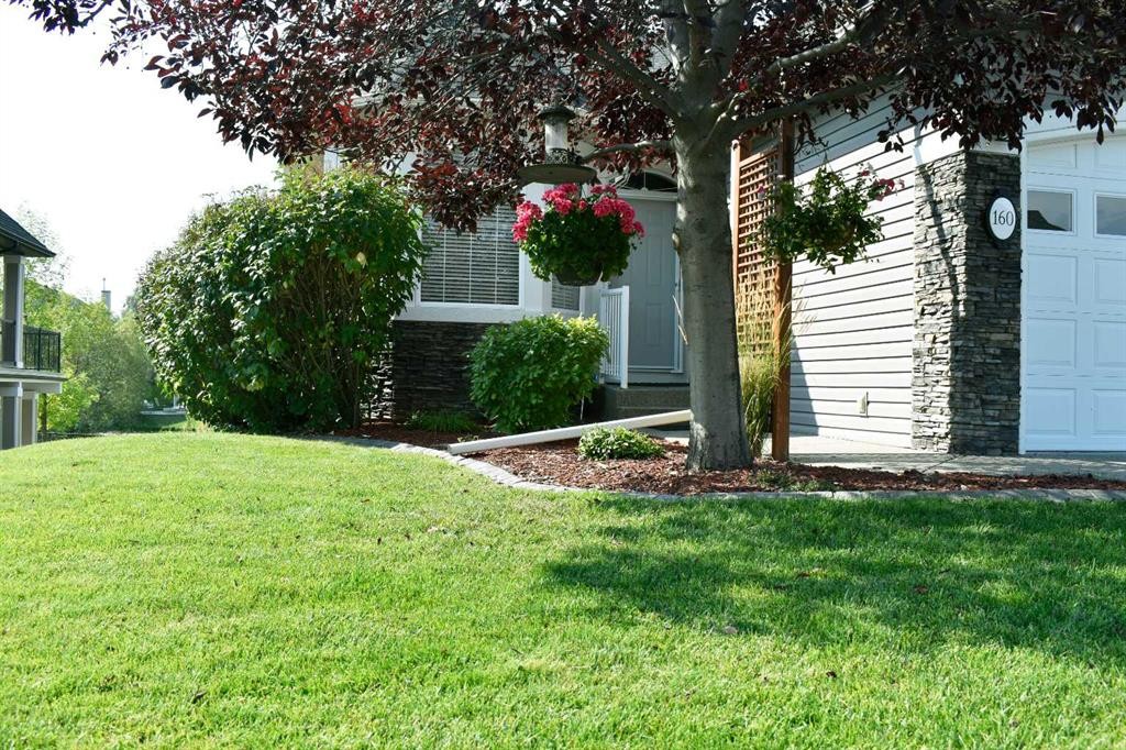 160 Sienna Passage, Chestermere, AB - Outdoor