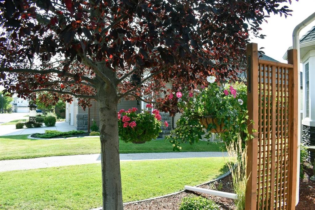 160 Sienna Passage, Chestermere, AB - Outdoor