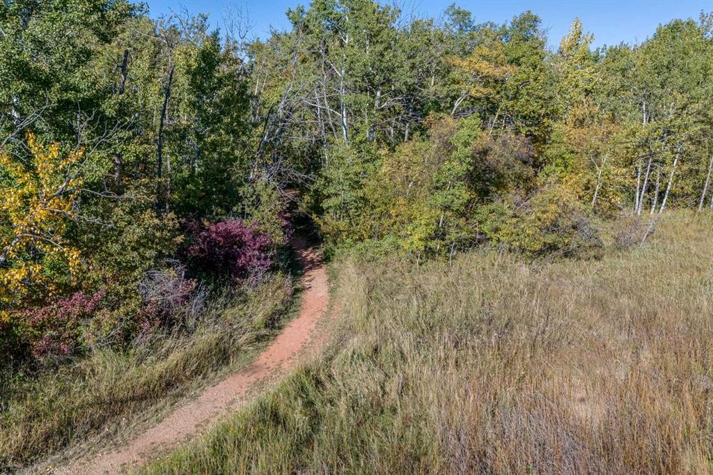 602 Pheasant Close, Pelican Point, AB - Outdoor With View