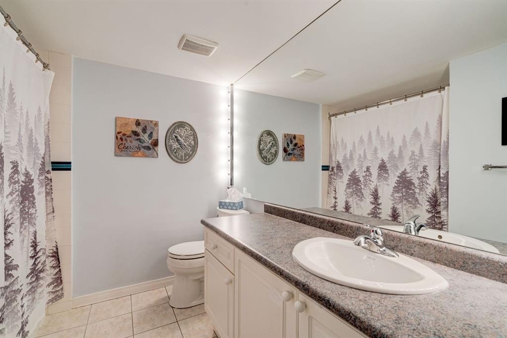 106-659 4 Avenue Ne, Calgary, AB - Indoor Photo Showing Bathroom