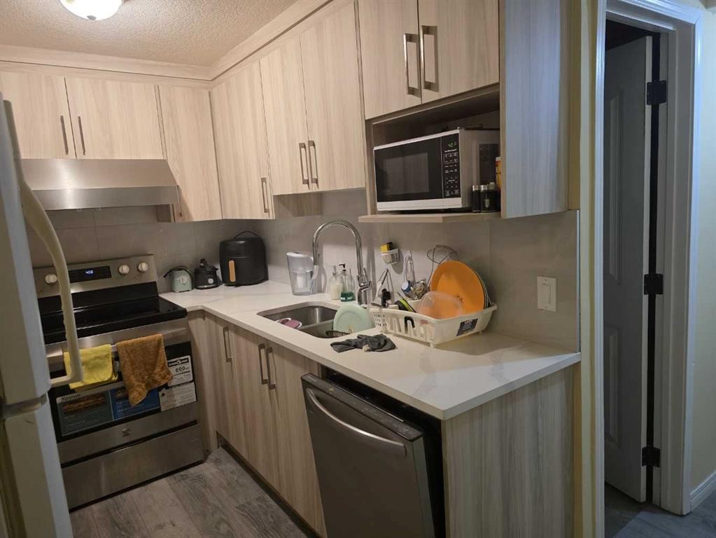 211 Saddlebrook Way Ne, Calgary, AB - Indoor Photo Showing Kitchen With Double Sink