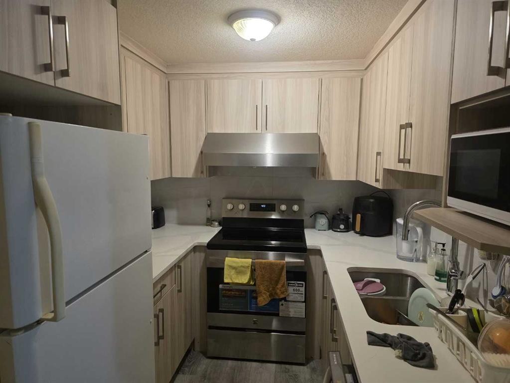 211 Saddlebrook Way Ne, Calgary, AB - Indoor Photo Showing Kitchen