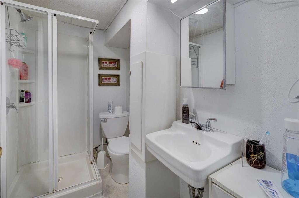 540 Lysander Drive Se, Calgary, AB - Indoor Photo Showing Bathroom