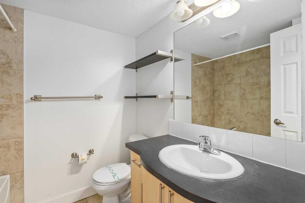 101-655 Meredith Road Ne, Calgary, AB - Indoor Photo Showing Bathroom
