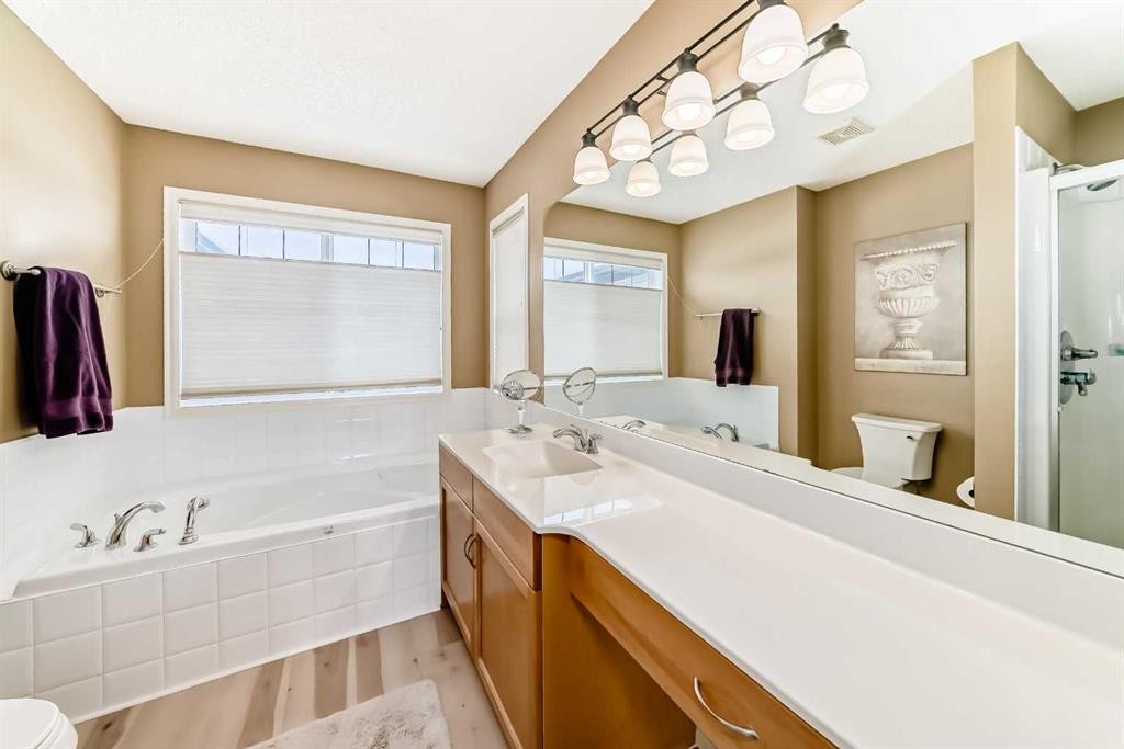 41 Kincora Drive Nw, Calgary, AB - Indoor Photo Showing Bathroom