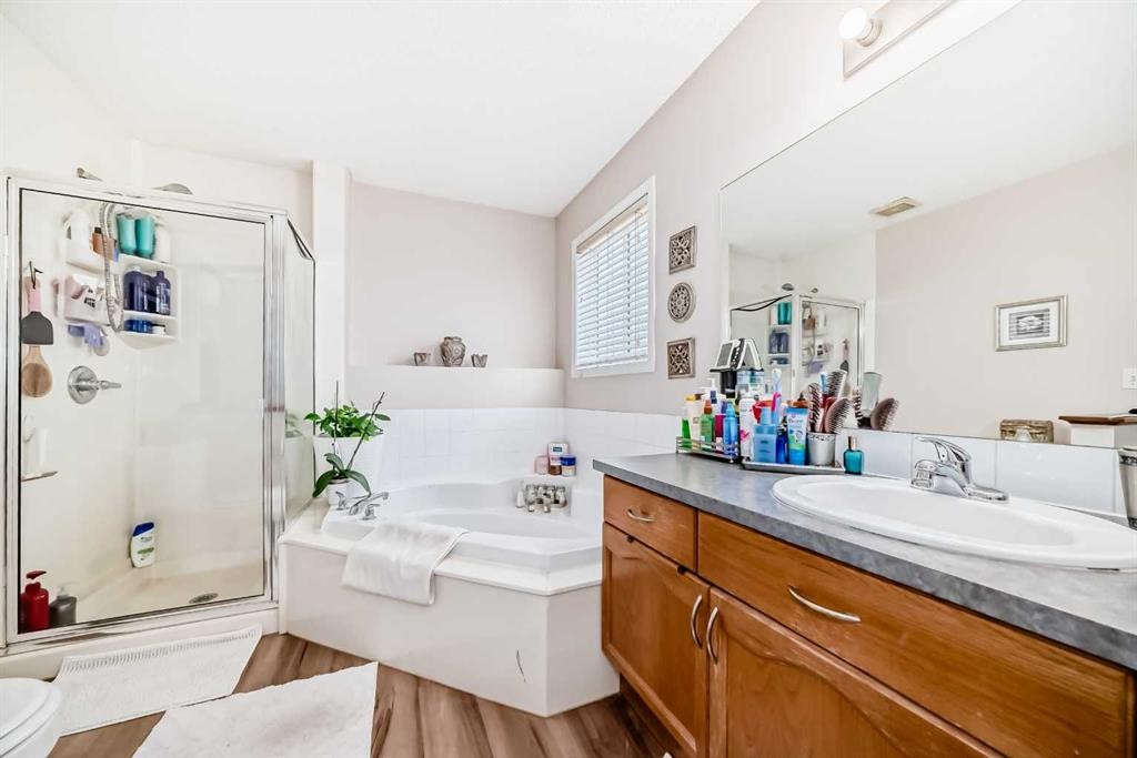 79 Saddleridge Close Ne, Calgary, AB - Indoor Photo Showing Bathroom