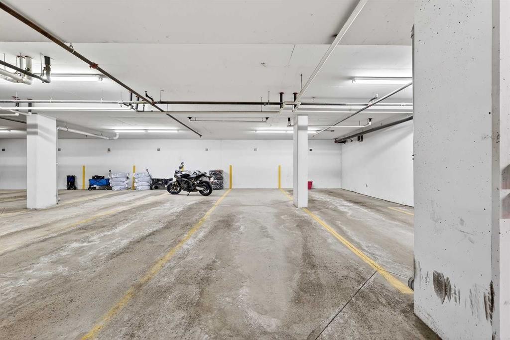 308-402 Marquis Lane Se, Calgary, AB - Indoor Photo Showing Garage