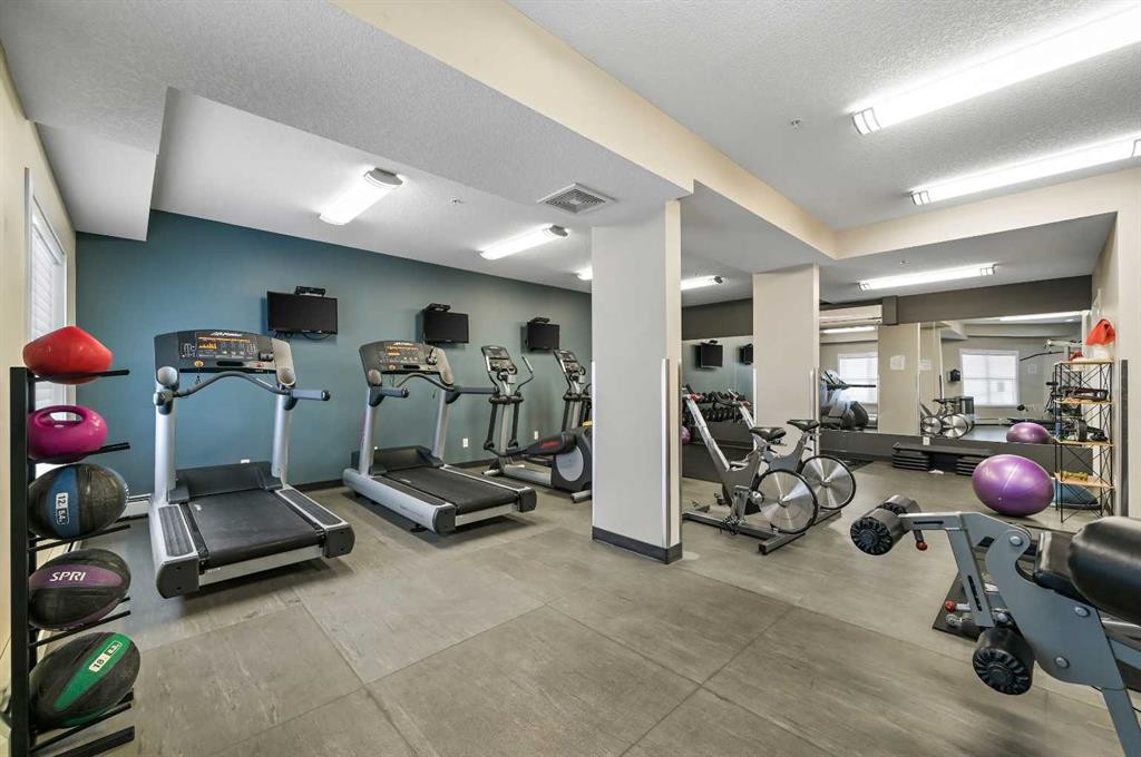308-402 Marquis Lane Se, Calgary, AB - Indoor Photo Showing Gym Room