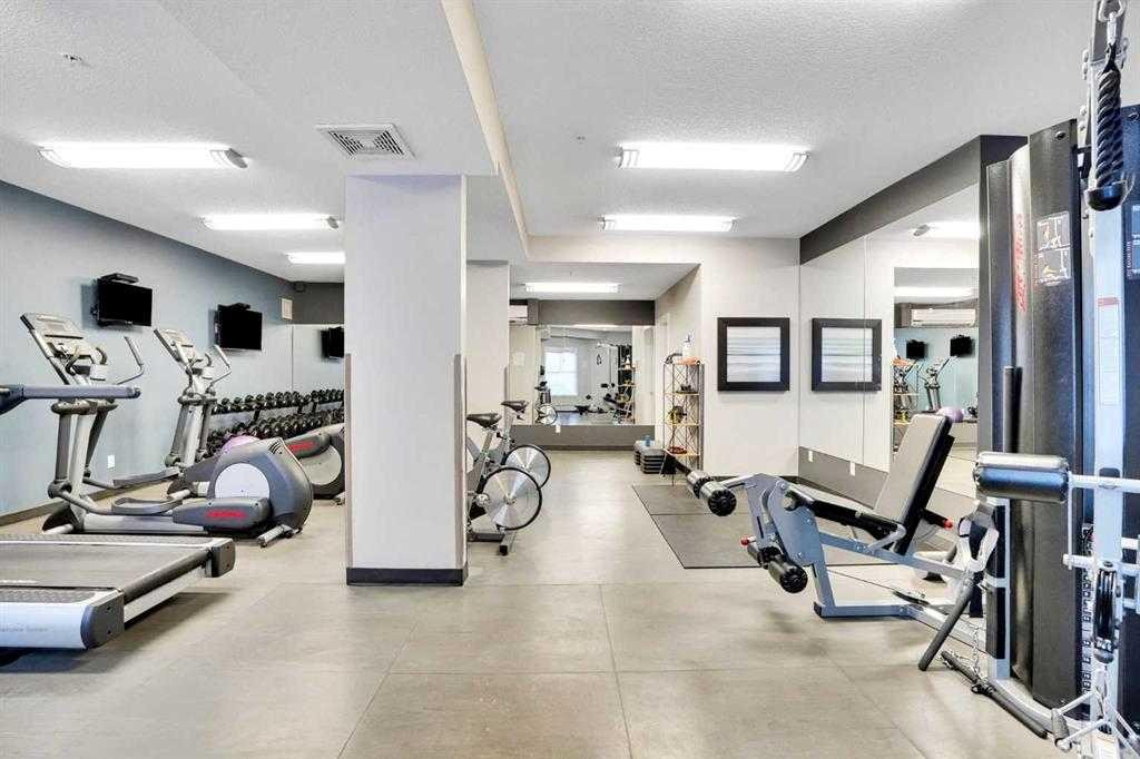 308-402 Marquis Lane Se, Calgary, AB - Indoor Photo Showing Gym Room