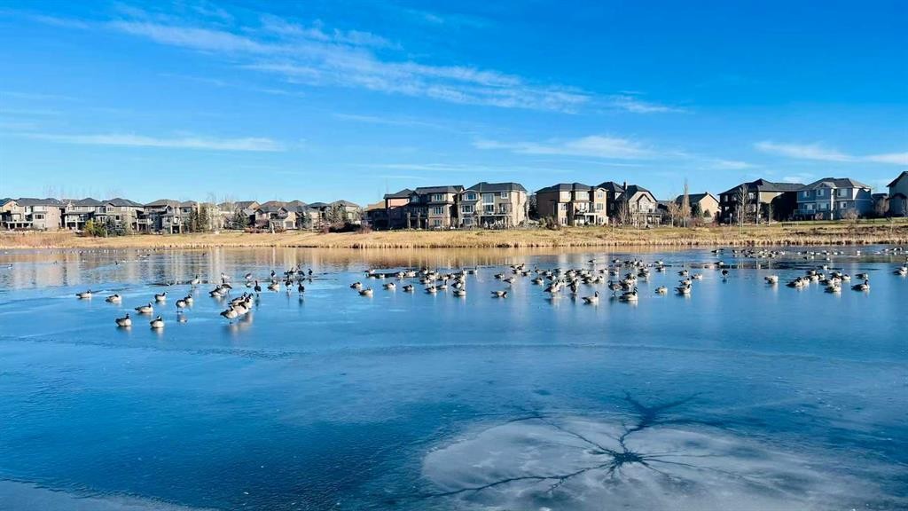 147 Panatella Hill, Calgary, AB - Outdoor With Body Of Water With View