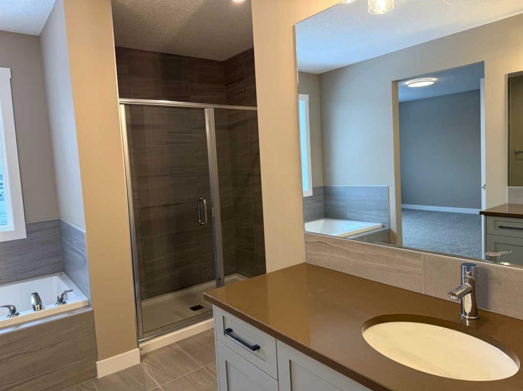 115 Sundown Crescent, Cochrane, AB - Indoor Photo Showing Bathroom