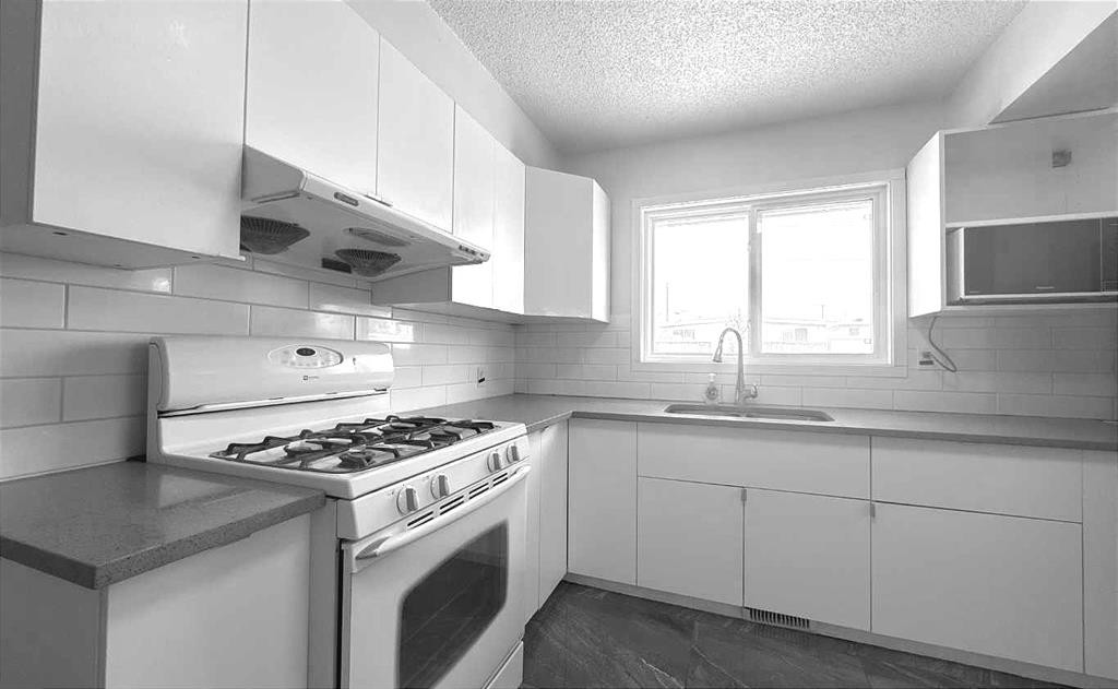 3229 19 Avenue Se, Calgary, AB - Indoor Photo Showing Kitchen