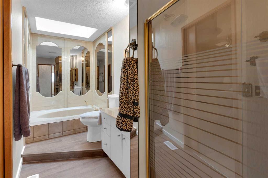 6004 Maddock Drive Ne, Calgary, AB - Indoor Photo Showing Bathroom