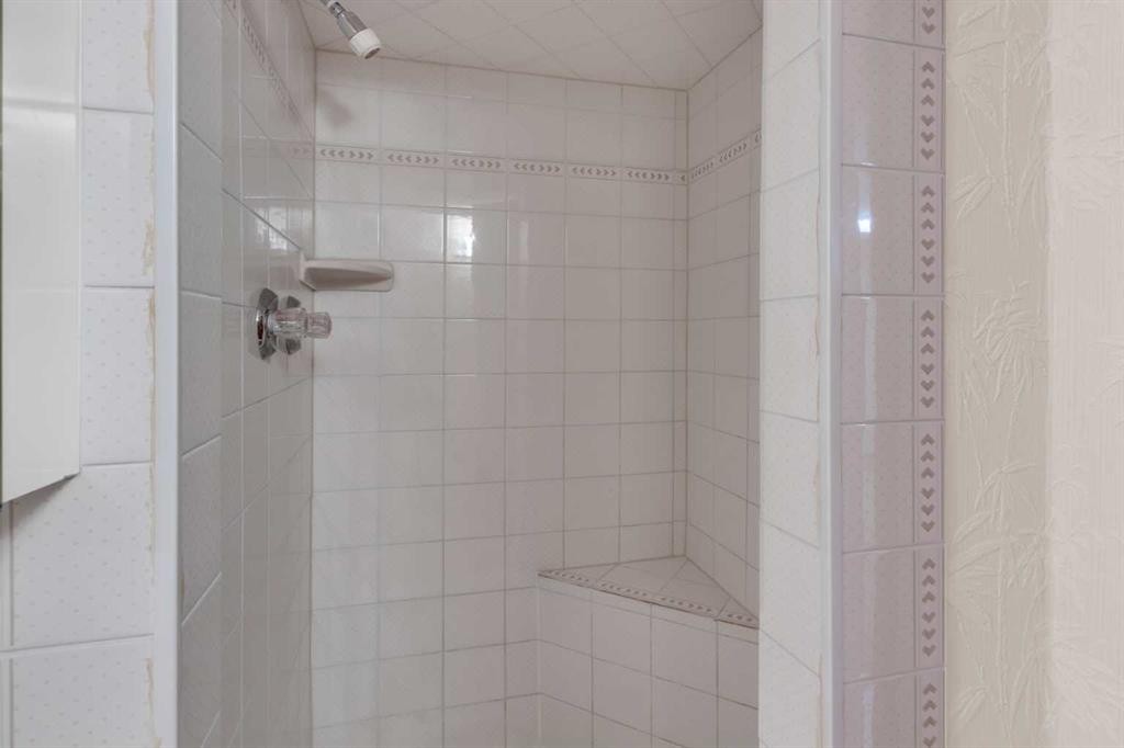 6004 Maddock Drive Ne, Calgary, AB - Indoor Photo Showing Bathroom