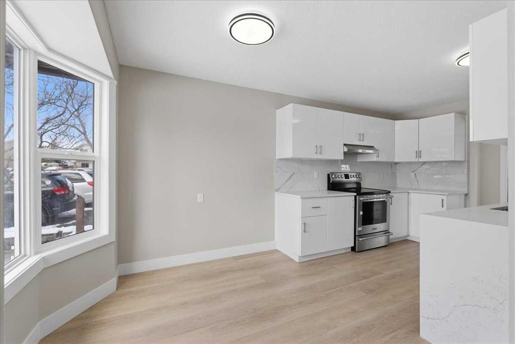 172 Abinger Crescent Ne, Calgary, AB - Indoor Photo Showing Kitchen With Stainless Steel Kitchen