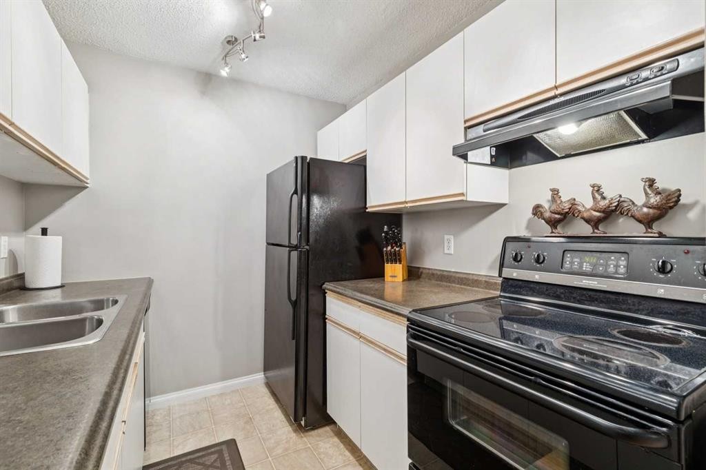102-21 Dover Point Se, Calgary, AB - Indoor Photo Showing Kitchen With Double Sink