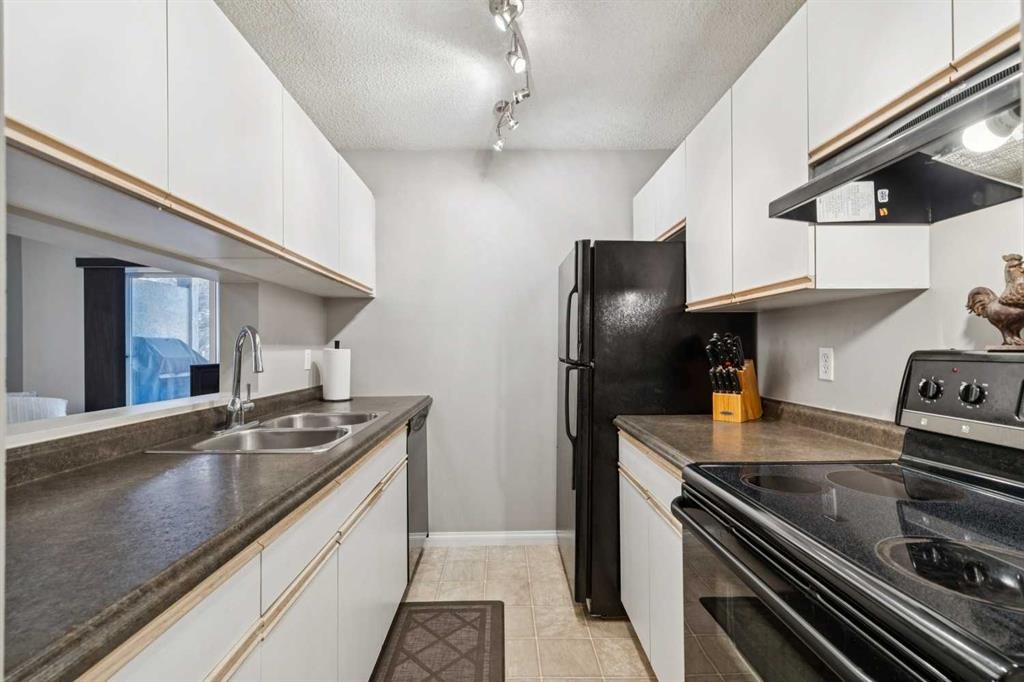 102-21 Dover Point Se, Calgary, AB - Indoor Photo Showing Kitchen With Double Sink