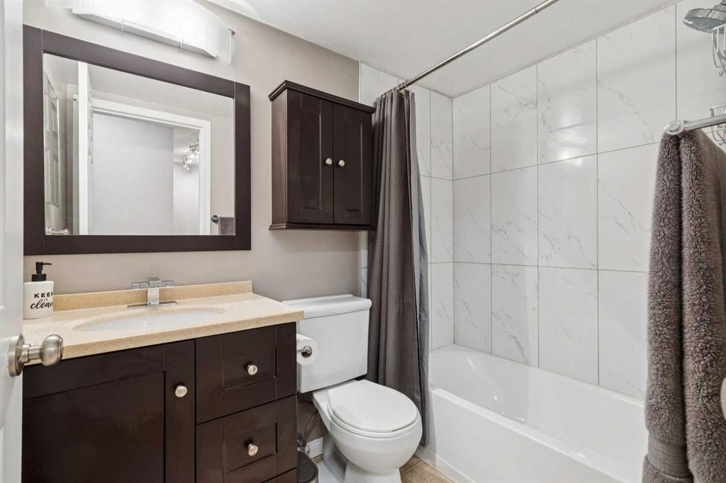 102-21 Dover Point Se, Calgary, AB - Indoor Photo Showing Bathroom