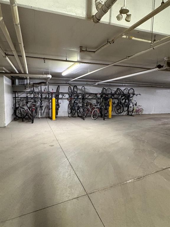 404-1000 Centre Avenue Ne, Calgary, AB - Indoor Photo Showing Garage